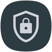 Crypto icon