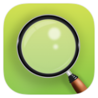 Magnifier icon