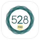 528 Player icon
