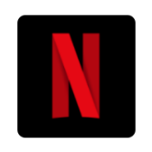 Netflix icon