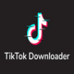 TIKTOK DOWNLOADER icon