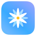 Always-on display and Lock screen editor icon