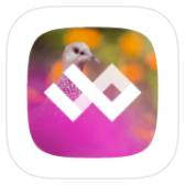 WildPapers icon
