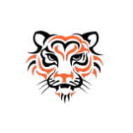 Tigon VPN icon
