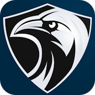 Raven VPN icon