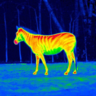 Thermal Camera icon