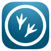 Solovey icon