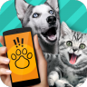 Pet Translator icon