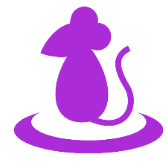 Enigmatic Mouse icon