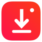 Instant Downloader icon