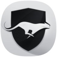 Run vpn icon