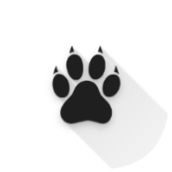 Amarok icon