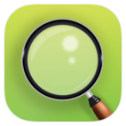 Magnifier icon