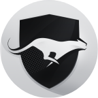 Run vpn icon