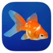 Goldfish icon