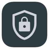 Crypto icon