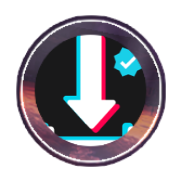 AhaTik Downloader icon