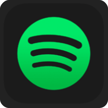 Spotify Lite icon