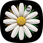 Watch Face Daisy icon