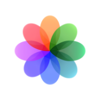 Gallery icon