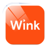 Wink icon