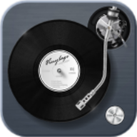 Vinyl icon