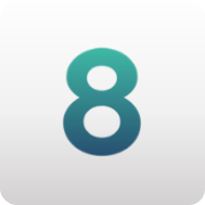 8.8.8.8 icon