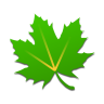 Greenify Black icon