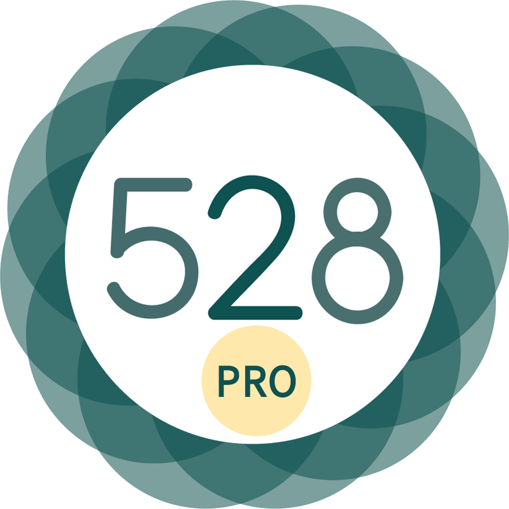 528 Player icon