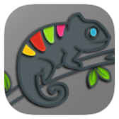 Camo Light icon