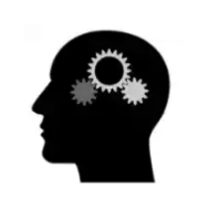 40+ Psychological Tests icon