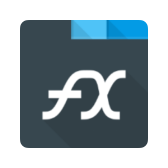 FX icon