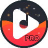 Music Avee Player Pro icon