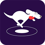 VPN DOG icon