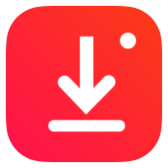 Instant Downloader icon