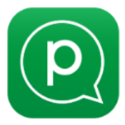 Pinngle icon