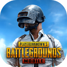 PUBG MOBILE icon