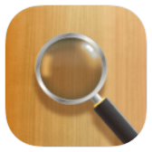 Magnifying Glass icon