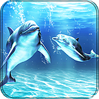 Dolphins Live Wallpaper icon