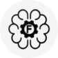 FDE.AI icon