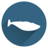 WindFish icon