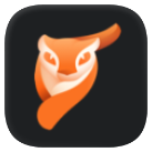 Motionleap icon