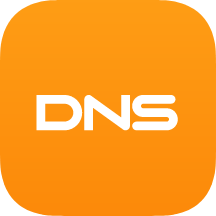 DNS icon