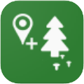 Forest Navigator icon