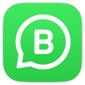 WhatsApp Business icon