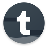 Tumblr icon