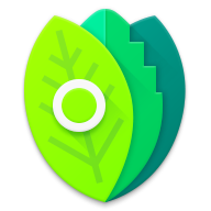 Minty Pro icon