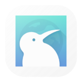 Kiwi Browser icon