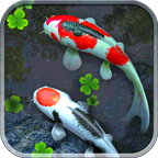 Water Garden icon