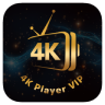 4K Player VIP icon